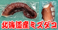 北海道産ミズダコ